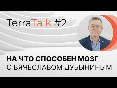 Видео: Обо всем, что у нас в голове. TerraTalk с Вячеславом Дубыниным