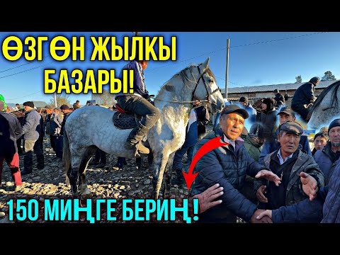 Видео: ЖЫЛКЫ БАЗАРДА ЫЗЫЧУУ ЧЫГЫП 🤯 #байтв