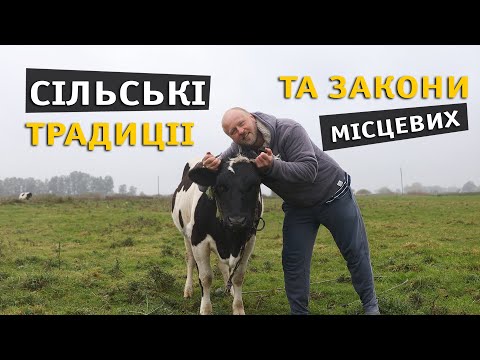 Видео: Прибираємо буряк та пліткуємо про місцевих.