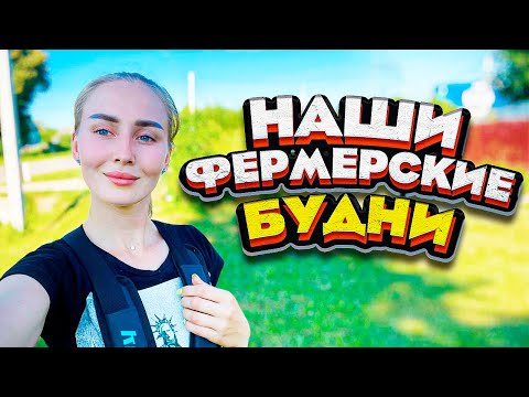 Видео: Хлопоты по хозяйству и Продолжение покоса. Наши Фермерские Будни | Молодая Ферма