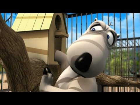 Видео: БЕРНАРД: Зоопарк