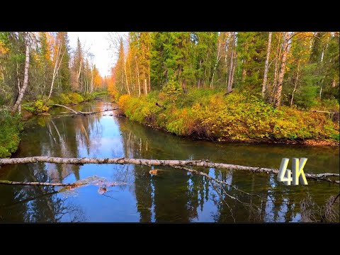 Видео: НЕОЖИДАННЫЙ РЕЗУЛЬТАТ ОТ НОВОГО МЕСТА, ХОДОВАЯ РЫБАЛКА | THE UNEXPECTED RESULT OF FISHING