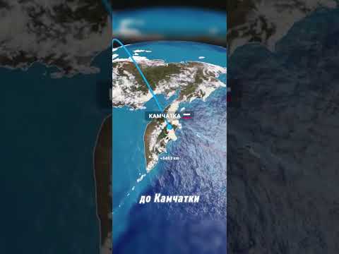 Видео: Профессия пилота счетовода птиц #новостимира #automobile #гражданскаяавиация #aviation