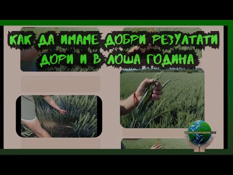 Видео: Как да постигнем добри резултати дори и в суха година
