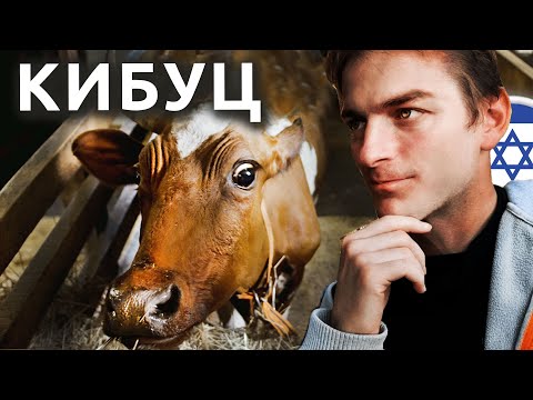 Видео: Израиль: В КИБУЦЕ ДОЯТ КОРОВ? РЕПАТРИАЦИЯ В КИБУЦ В ЦЕНТРЕ ИЗРАИЛЯ