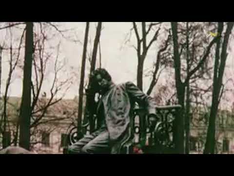 Видео: Александр Ведерников - Ночной зефир струит эфир