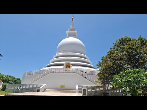 Видео: Шри-ланка. Унаватуна. Отель Flower Garden
