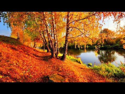 Видео: Стихи про осень детям (3-6) лет #стихи#осень