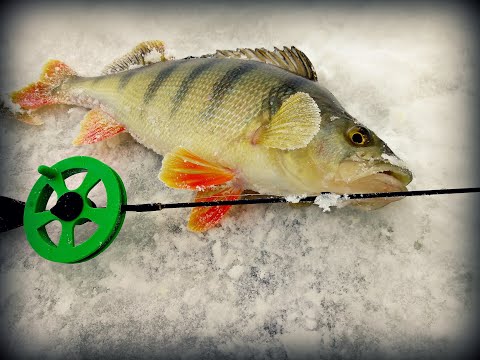 Видео: РЫБАНУТАЯ КРУТИНКА