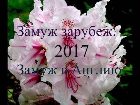 Видео: Замуж за рубеж   Замуж в Англию
