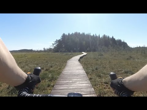 Видео: Сестрорецкое болото, шалаш Ленина, пробил колесо