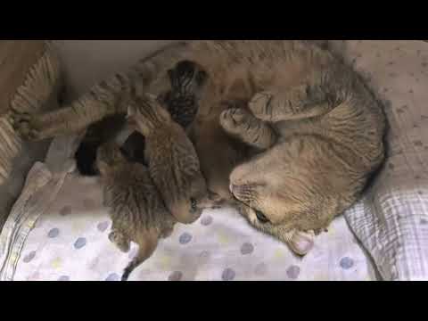 Видео: Выбираем имена 😊