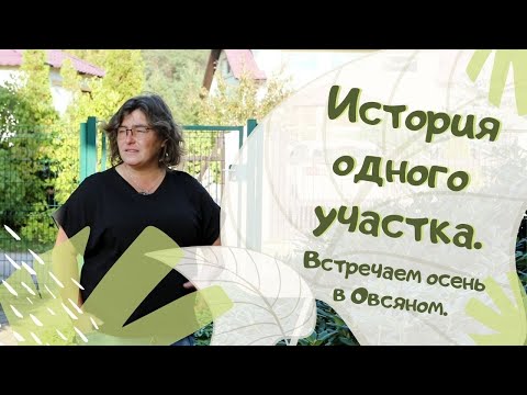 Видео: История одного участка. Встречаем осень в Овсяном.