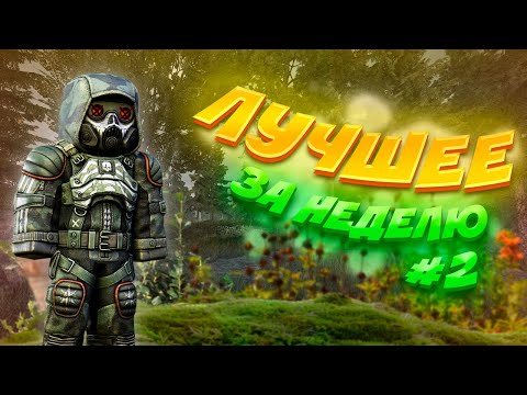 Видео: ЛУЧШЕЕ за неделю #2 |STALCRAFT HIGHLIGHTS|