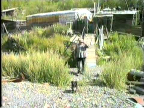 Видео: Большевик и Сусуман