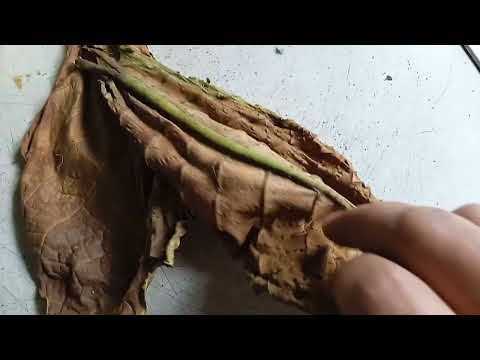 Видео: Огневая сушка. Результат