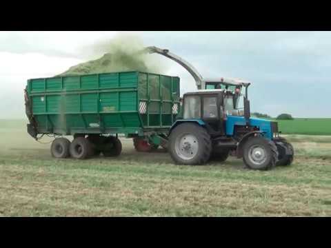 Видео: Заготовка сенажа в Бобруйском районе