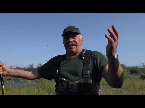 Видео: Чайбуха (продолжение)