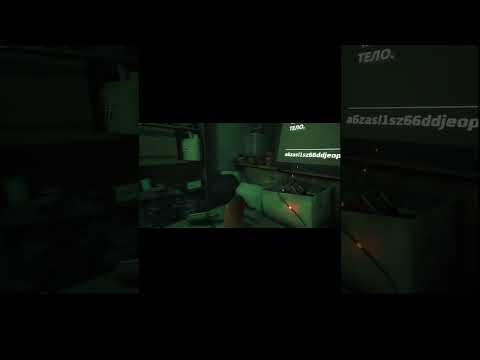Видео: У меня #лапки #кот #cat #steam #funnyvideo  #fyp #justfun #cute #прохождение #aww #funniestvideo