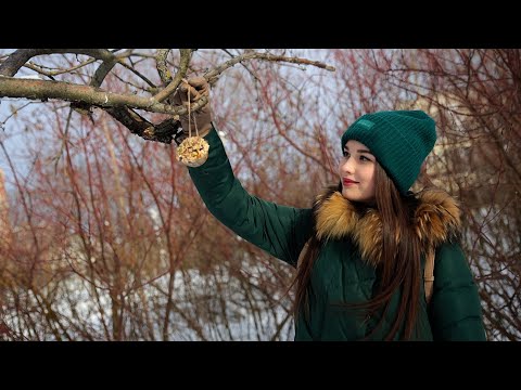 Видео: Проект "Просто о сложном": Как создать экологичную кормушку для птиц?