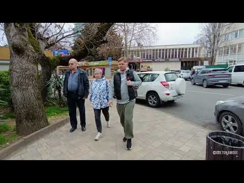 Видео: Сочи вся улица Роз за раз! Погода, обстановка в центре Сочи прямо сейчас 26.03.2025