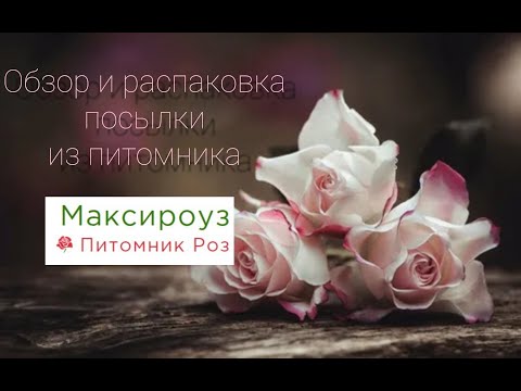 Видео: Обзор и распаковка посылки из питомника "Максироуз"