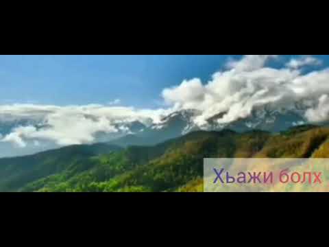 Видео: Хьамзат Мату