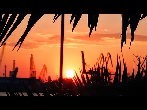 Видео: ЛЪВ 🦁 - КЕЛТСКИ КРЪСТ АВГУСТ'25 