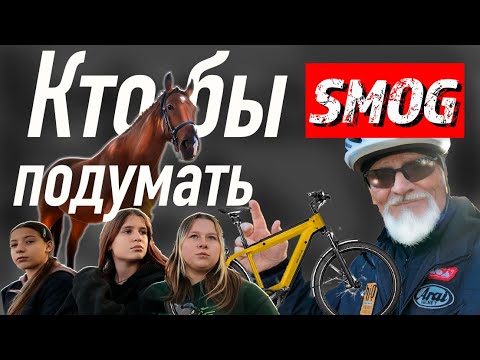 Видео: Кто бы смог подумать!