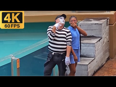 Видео: Мим Том, заставляющий всех смеяться (4K) — SeaWorld Orlando — 10 ноября 2023 г.