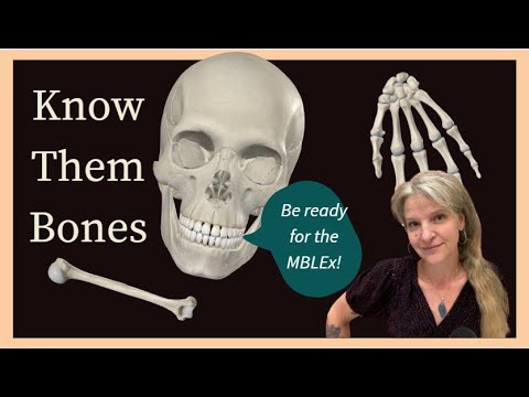 Видео: Кости и важные ориентиры для учебного пособия MBLEx