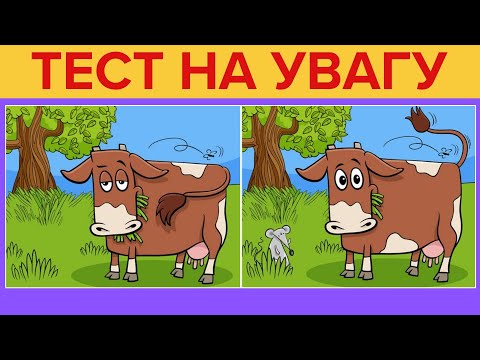 Видео: Чи зможеш знайти всі 5 відмінностей за 60 секунд?