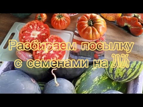 Видео: Посылка с семенами на 2026 год😉АРБУЗЫ 🍉 ТОМАТЫ 🍅 ч. 2