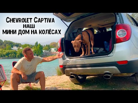 Видео: Пришлось впервые ночевать в машине с моей собакой среди гор у реки