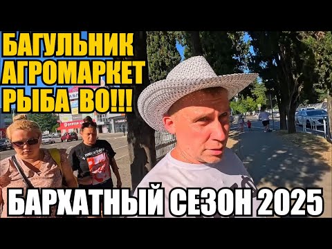 Видео: ЛАЗАРЕВСКОЕ 2025/ЦЕНЫ/ПРОГУЛОЧНЫЙ ВЫПУСК #влог #море #лазаревское #прогулка #обзор #сочи