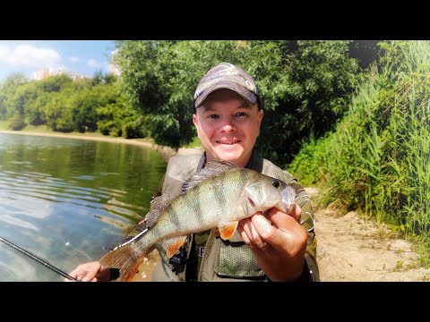 Видео: Окунёвая мекка на Борисовских прудах / УЛЬТРАЛАЙТ на спиннинг BREADEN Trevalism Kabin 606CS-TIP