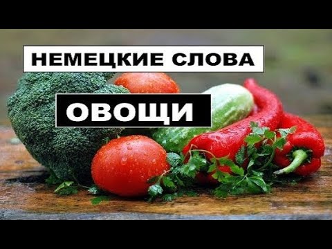 Видео: НЕМЕЦКИЕ СЛОВА #ОВОЩИ #GEMÜSE