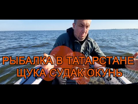 Видео: Рыбалка в Татарстане Щука Судак Окунь
