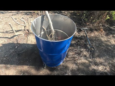 Видео: Разрешено ли спалить ветки в железной бочке на садовом участке?