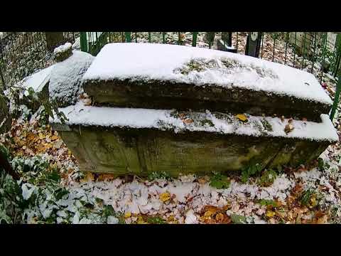 Видео: Кладбище старше 200 лет (Всехсвятское)