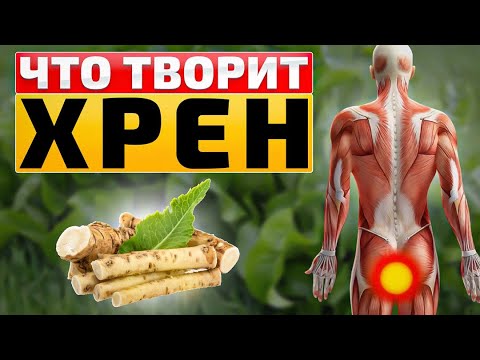 Видео: Забыл о запорах и не только... Выведения шлаков из кишечника и снижение холестерина