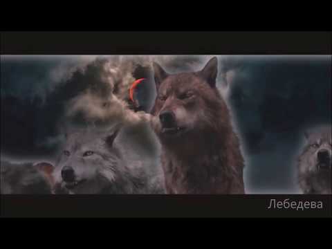 Видео: Тони Раут - Порталы.