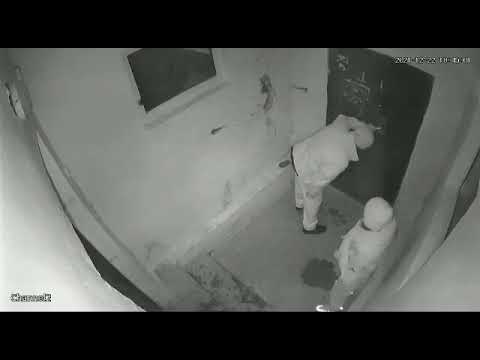 Видео: Справили нужду в подъезде