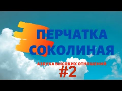 Видео: Перчатка соколиная. Виды и назначение.
