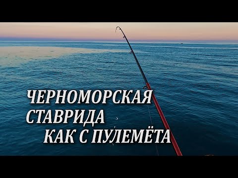 Видео: Попал на Раздачу Крупной Черноморской Ставриды. Рыбалка как с Пулемёта. Черное Море