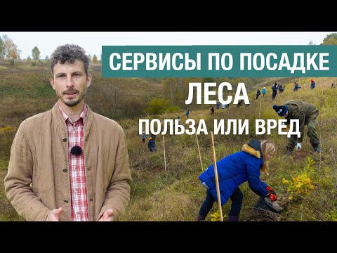 Видео: Сервисы по посадке леса: как разобраться, где польза, а где вред