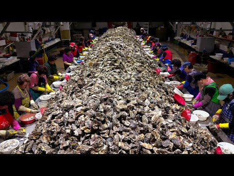 Видео: Слюнки текут ! Устричная ферма, Жареная рыба, Моллюски, Угорь | Корейская уличная еда