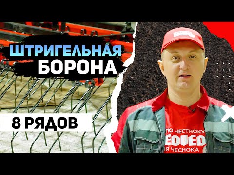 Видео: Восьмирядная штригельная борона быстро уничтожит сорняк на вашем поле
