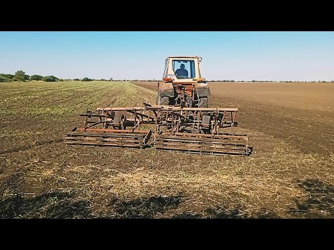 Видео: Трактор ЮМЗ-6 с культиватором КПС-4.2 и самодельным катком.