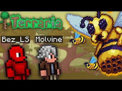 Видео: УБИЛИ КОРОЛЕВУ ПЧЕЛ🐝МОЛВИН и БЛС в Terraria | #9 | #terraria #майншилд  @MOLVINE @Bez_LS